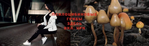 мескалин Алексин