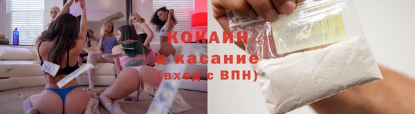 стаф Абаза